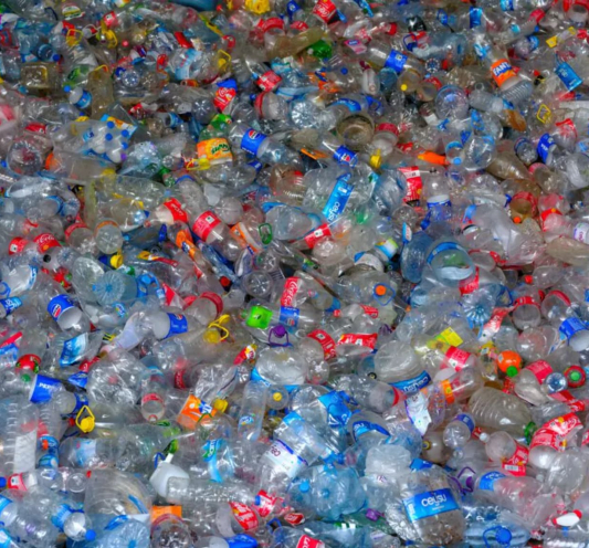 Comparing biodegradable plastics and PET materials